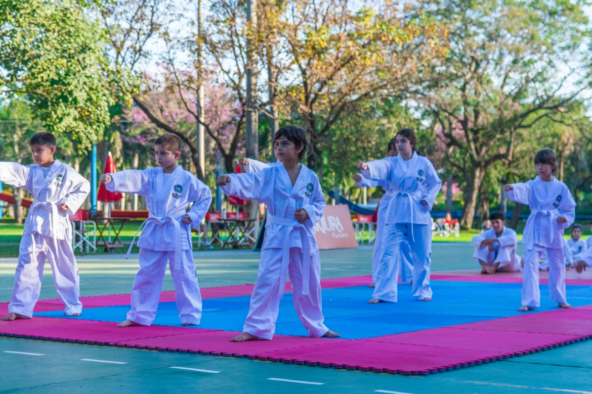 Taekwondo