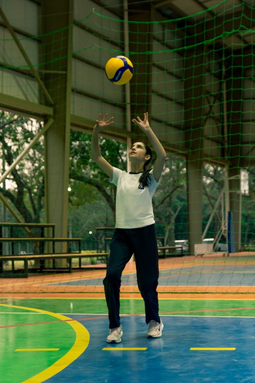 Volley